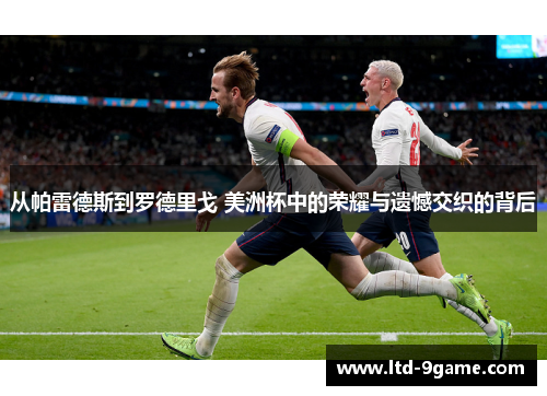 从帕雷德斯到罗德里戈 美洲杯中的荣耀与遗憾交织的背后 从帕雷德斯到罗德里戈 美洲杯中的荣耀与遗憾交织的背后