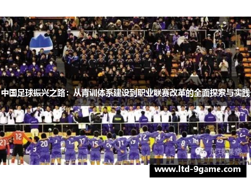 中国足球振兴之路:从青训体系建设到职业联赛改革的全面探索与实践 中国足球振兴之路:从青训体系建设到职业联赛改革的全面探索与实践