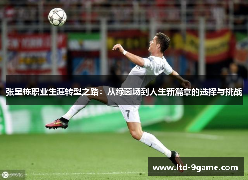 张呈栋职业生涯转型之路:从绿茵场到人生新篇章的选择与挑战 张呈栋职业生涯转型之路:从绿茵场到人生新篇章的选择与挑战