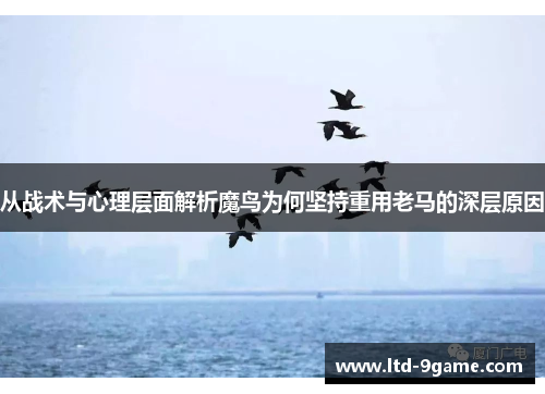 从战术与心理层面解析魔鸟为何坚持重用老马的深层原因 从战术与心理层面解析魔鸟为何坚持重用老马的深层原因